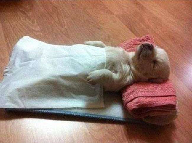 Hace frío, no salgo de la cama
