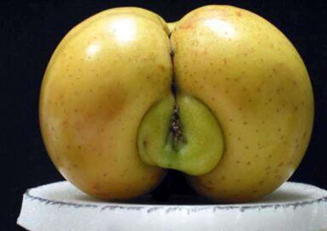Manzana híbrida con sabor a culo !!!